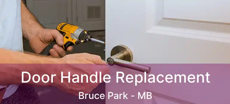 Door Handle Replacement Bruce Park - MB
