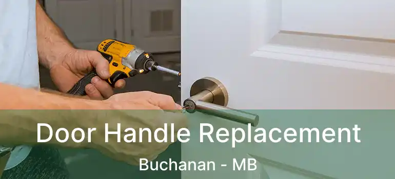  Door Handle Replacement Buchanan - MB