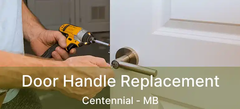  Door Handle Replacement Centennial - MB