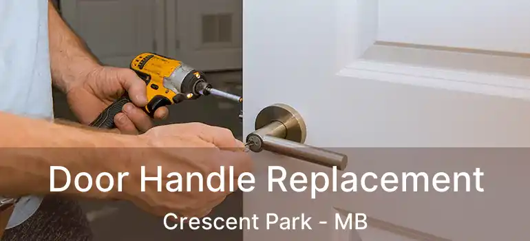  Door Handle Replacement Crescent Park - MB