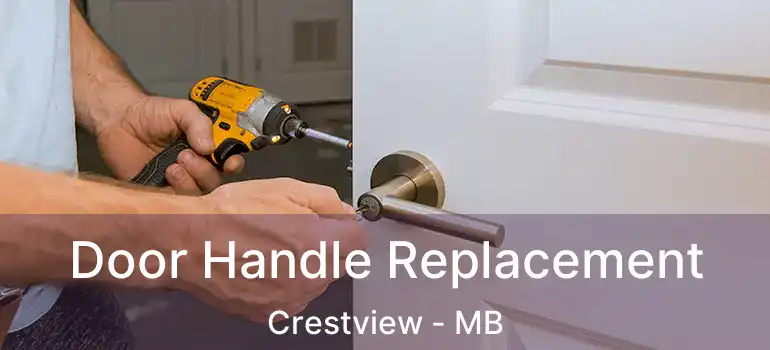  Door Handle Replacement Crestview - MB