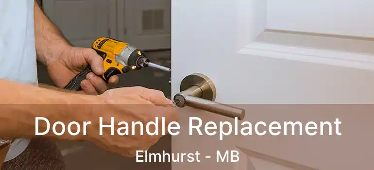  Door Handle Replacement Elmhurst - MB