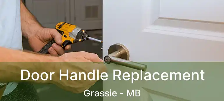  Door Handle Replacement Grassie - MB