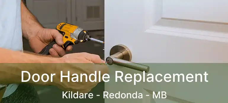  Door Handle Replacement Kildare - Redonda - MB