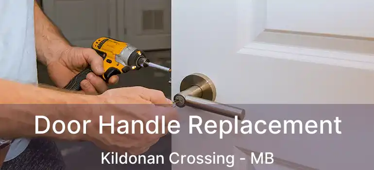  Door Handle Replacement Kildonan Crossing - MB