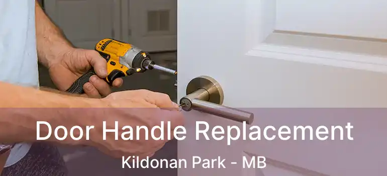  Door Handle Replacement Kildonan Park - MB
