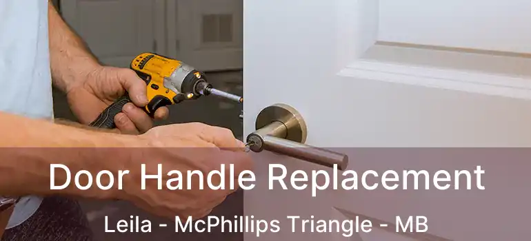  Door Handle Replacement Leila - McPhillips Triangle - MB