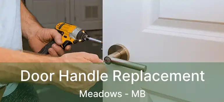  Door Handle Replacement Meadows - MB