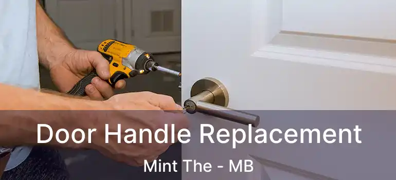  Door Handle Replacement Mint The - MB