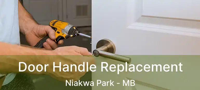  Door Handle Replacement Niakwa Park - MB