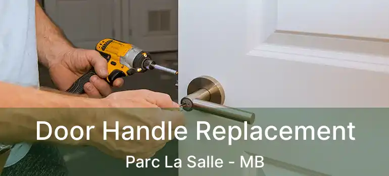  Door Handle Replacement Parc La Salle - MB