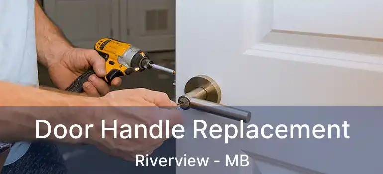  Door Handle Replacement Riverview - MB