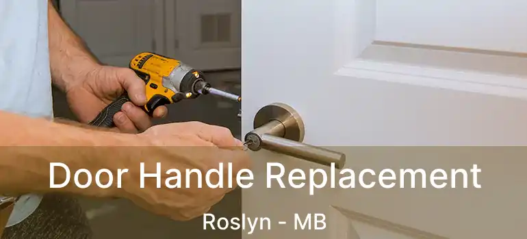  Door Handle Replacement Roslyn - MB