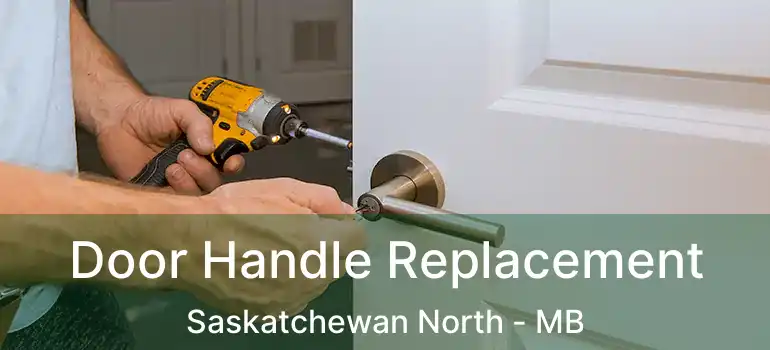  Door Handle Replacement Saskatchewan North - MB