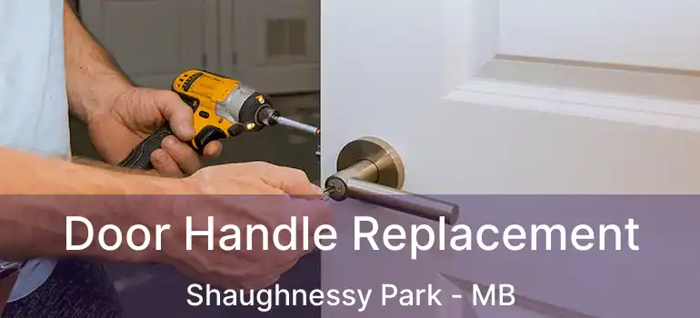  Door Handle Replacement Shaughnessy Park - MB