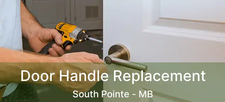  Door Handle Replacement South Pointe - MB