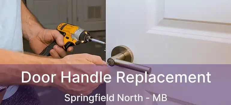  Door Handle Replacement Springfield North - MB