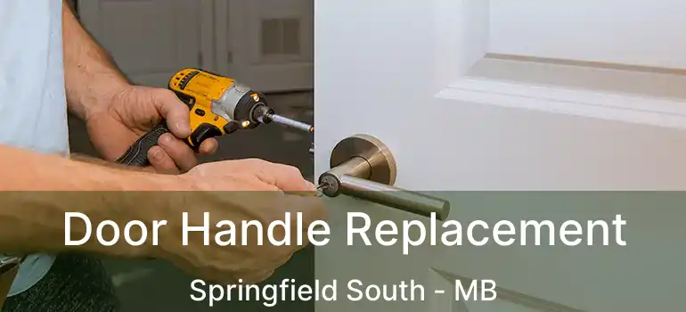  Door Handle Replacement Springfield South - MB