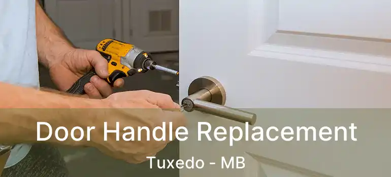  Door Handle Replacement Tuxedo - MB