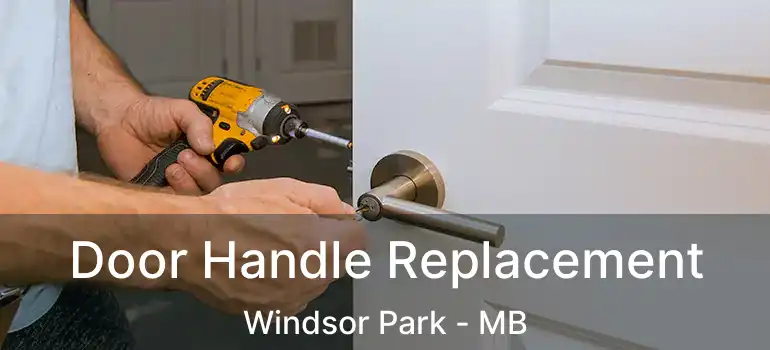  Door Handle Replacement Windsor Park - MB