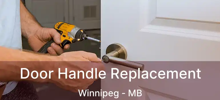  Door Handle Replacement Winnipeg - MB