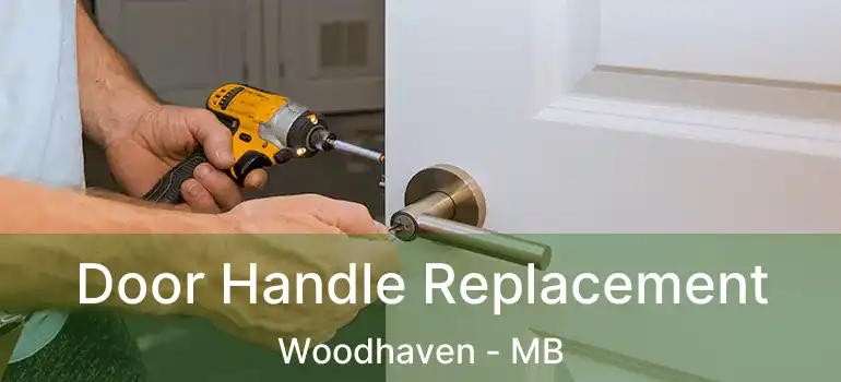  Door Handle Replacement Woodhaven - MB