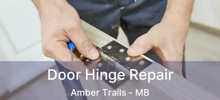  Door Hinge Repair Amber Trails - MB