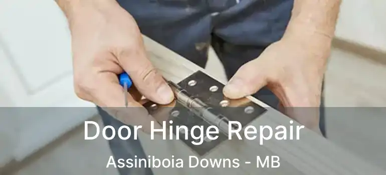  Door Hinge Repair Assiniboia Downs - MB