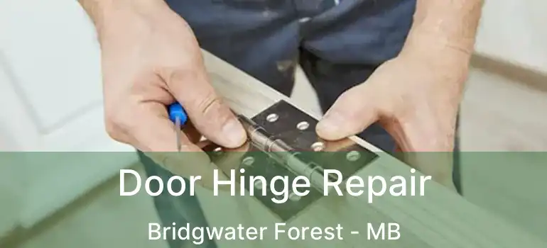  Door Hinge Repair Bridgwater Forest - MB