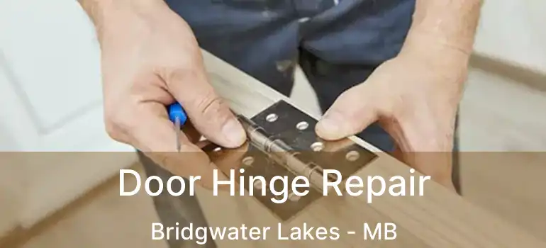  Door Hinge Repair Bridgwater Lakes - MB