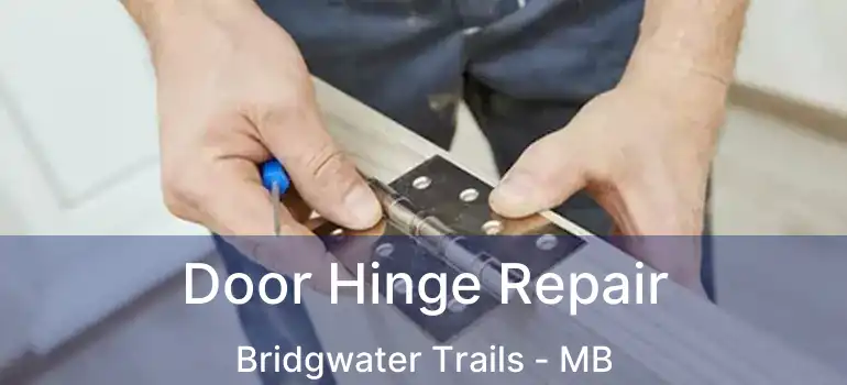  Door Hinge Repair Bridgwater Trails - MB