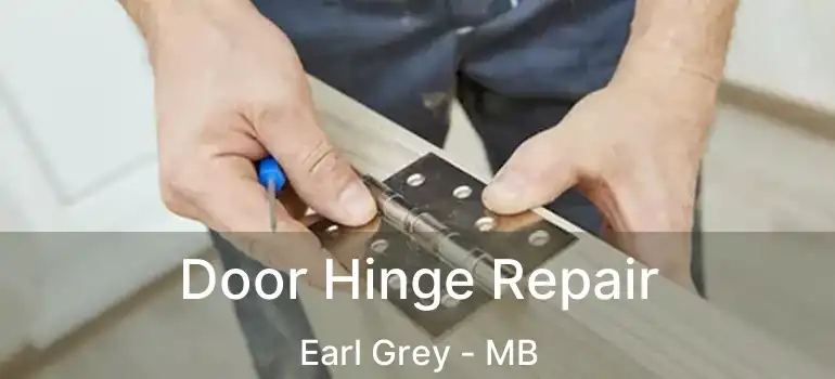  Door Hinge Repair Earl Grey - MB