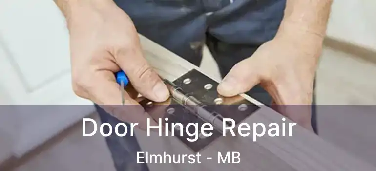  Door Hinge Repair Elmhurst - MB