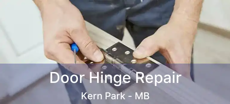  Door Hinge Repair Kern Park - MB