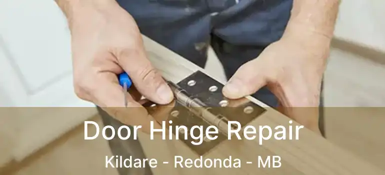  Door Hinge Repair Kildare - Redonda - MB