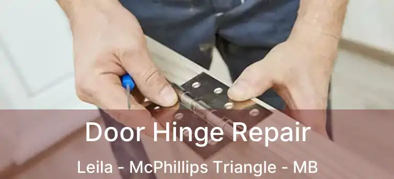  Door Hinge Repair Leila - McPhillips Triangle - MB