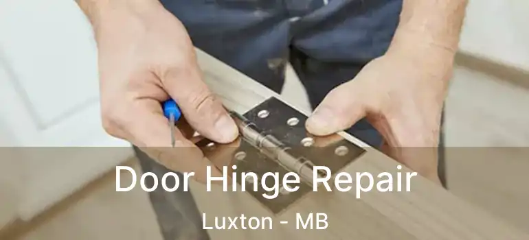  Door Hinge Repair Luxton - MB
