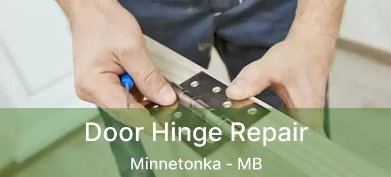  Door Hinge Repair Minnetonka - MB