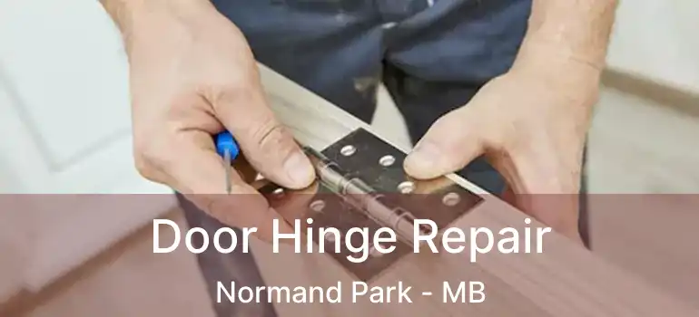  Door Hinge Repair Normand Park - MB