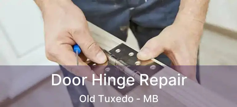  Door Hinge Repair Old Tuxedo - MB