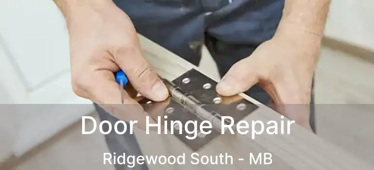 Door Hinge Repair Ridgewood South - MB
