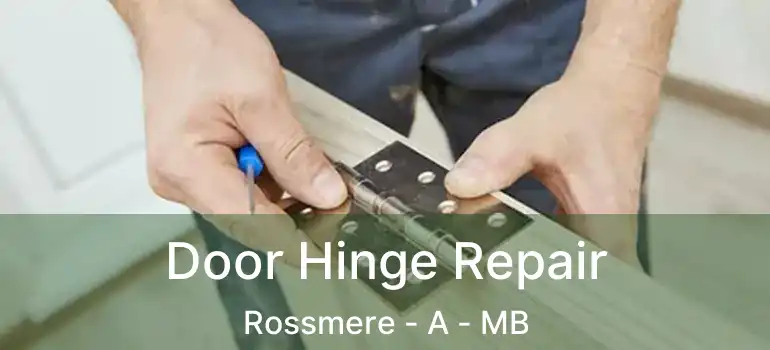  Door Hinge Repair Rossmere - A - MB