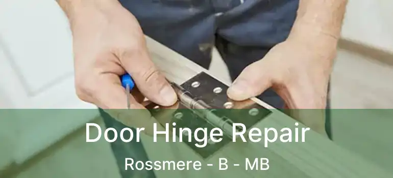  Door Hinge Repair Rossmere - B - MB
