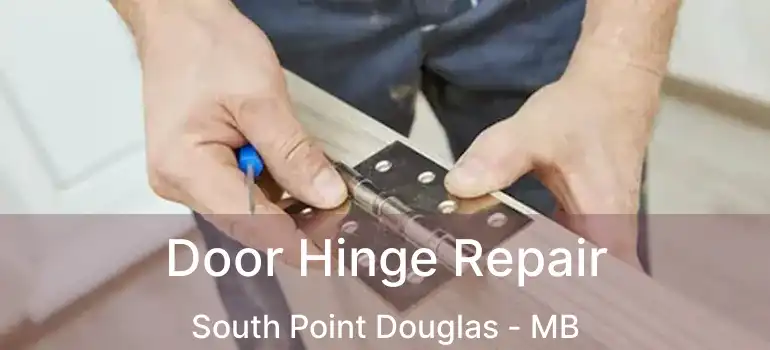  Door Hinge Repair South Point Douglas - MB