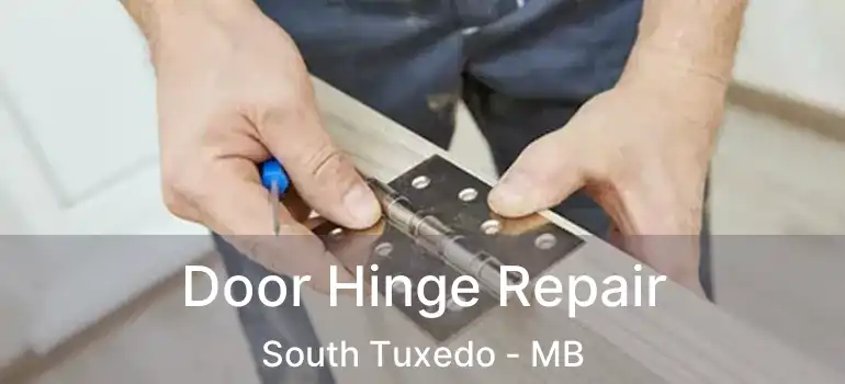  Door Hinge Repair South Tuxedo - MB