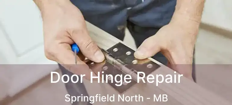  Door Hinge Repair Springfield North - MB