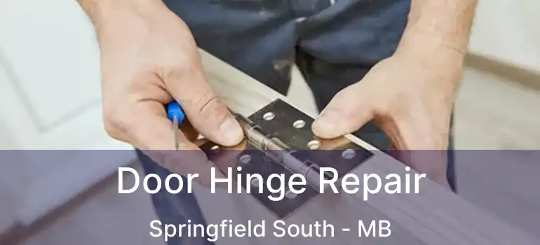  Door Hinge Repair Springfield South - MB