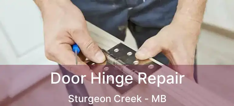  Door Hinge Repair Sturgeon Creek - MB
