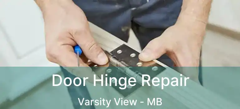  Door Hinge Repair Varsity View - MB