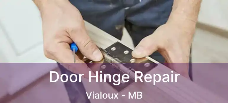  Door Hinge Repair Vialoux - MB